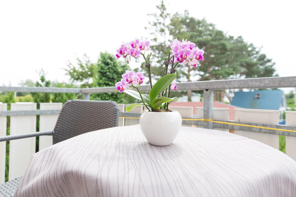 Hotel Garni Am Deich Цингст Номер фото